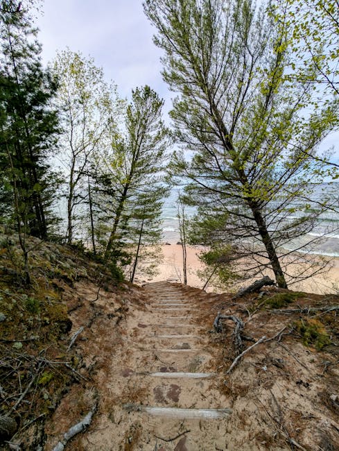 Discovering the Best Places to Visit in Georgia, USA