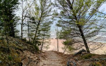 Exploring the Best Places to Visit in the USA in March