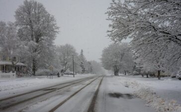 Winter Escapes: Best Places to Visit in the USA in January