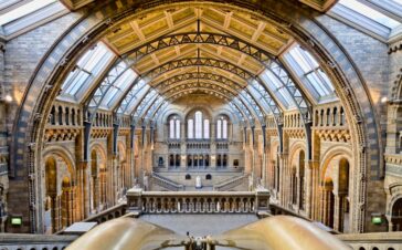 Exploring the Best Places to Visit in the USA’s South